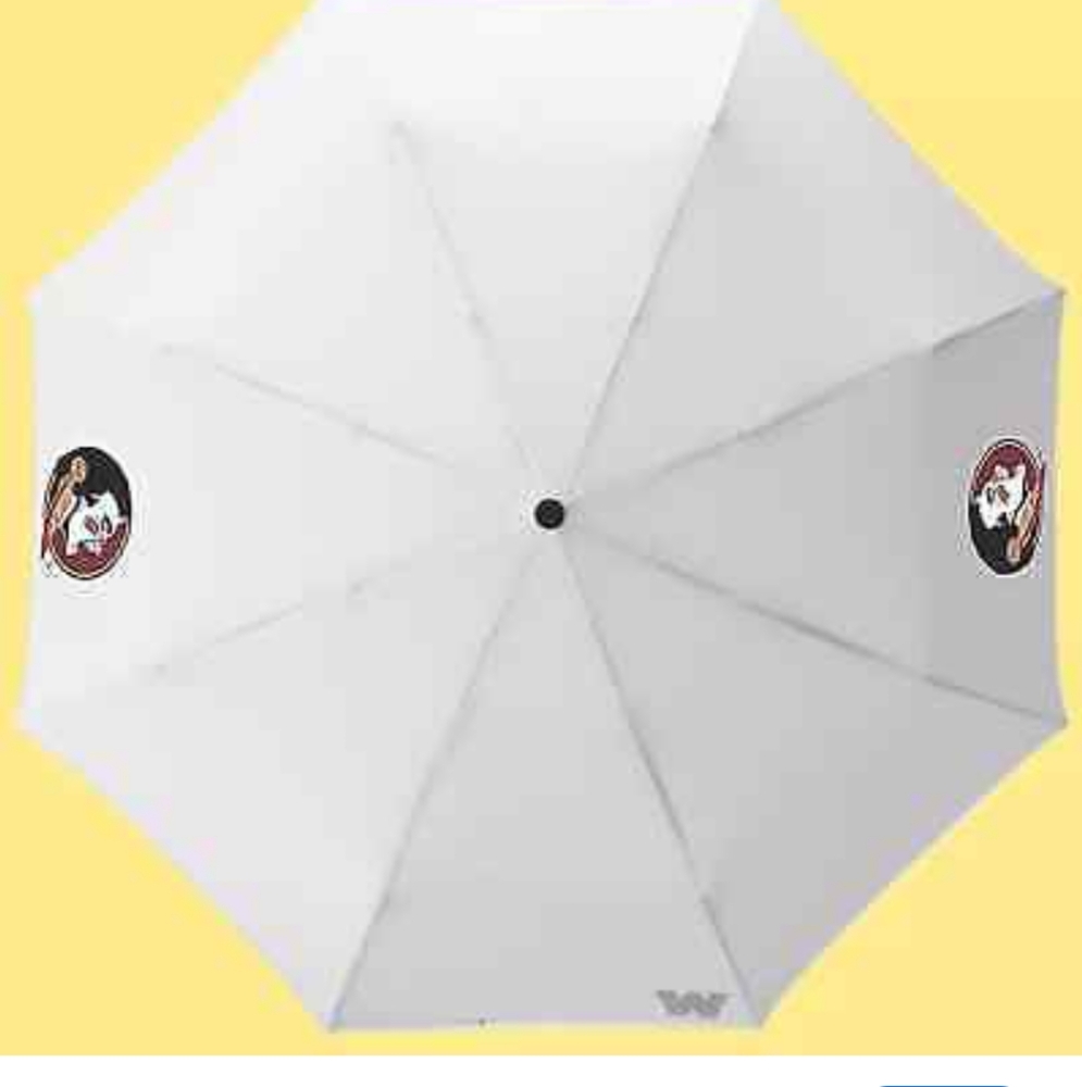 Weatherman Florida State travel umbrella